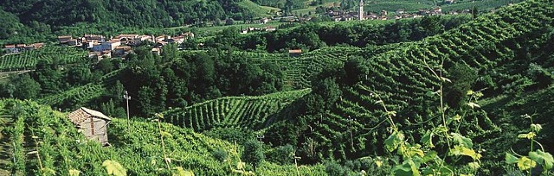 640px-Prosecco_Valley